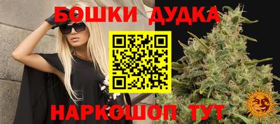 Альфа ПВП Камышлов