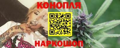 Альфа ПВП Камышлов