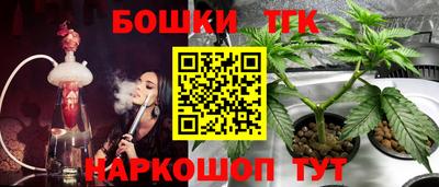 Альфа ПВП Камышлов
