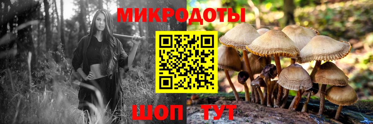 Буйнакск  Псилоцибиновые грибы прущие грибы  наркота  Вход с VPN 