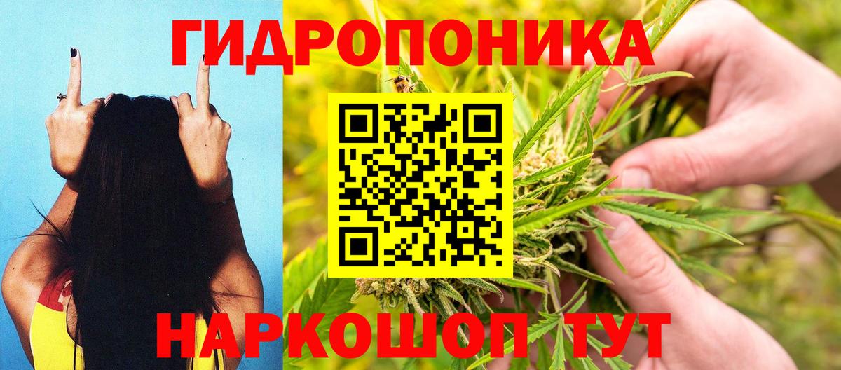 Шишки марихуана марихуана  Вход с VPN  Буйнакск  Марихуана индика  Канабис Ganja 